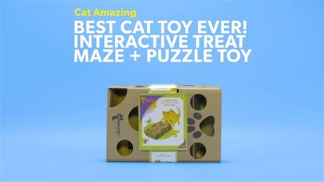 CAT AMAZING Interactive Treat Maze & Puzzle Cat Toy - Chewy.com