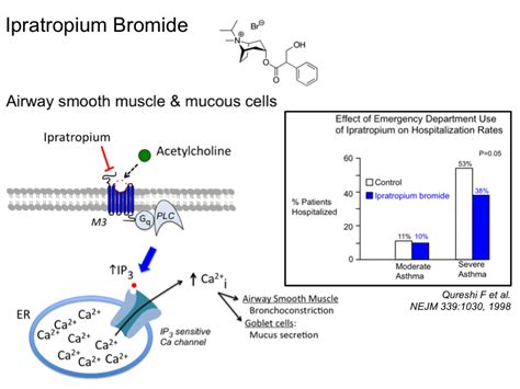 Ipratropium Bromide Mechanism Of Action