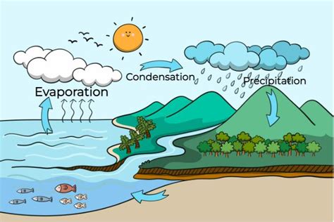 Evaporation, Condensation, And Dew Point, 56% OFF