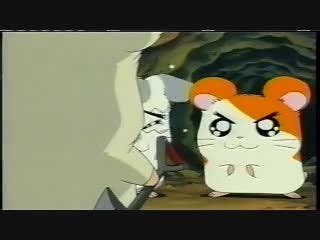 Hamtaro Episode 1 English Dubbed | Watch cartoons online, Watch anime ...