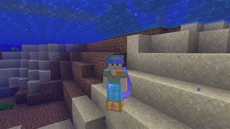 Top 5 enchantments for turtle shells in Minecraft