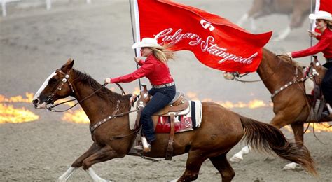 Calgary Stampede Holiday - Canada Adventure - Complete North America