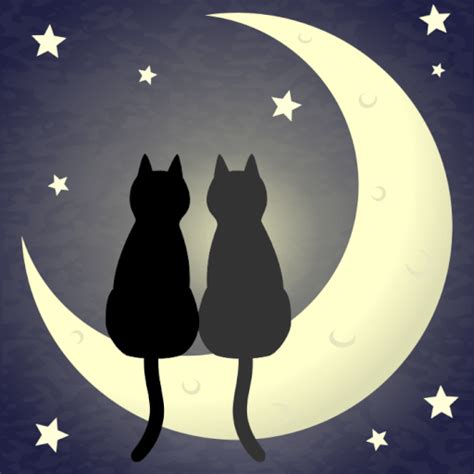 Love Romance Cats - Free GIF on Pixabay