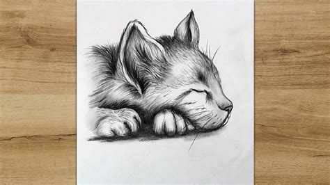 Sleeping Cat Drawing