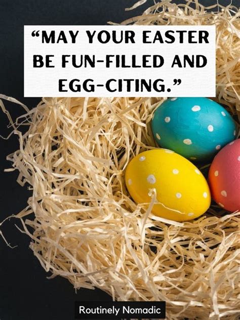 Funny Easter Quotes: 115 Funny Easter Sayings | Routinely Nomadic