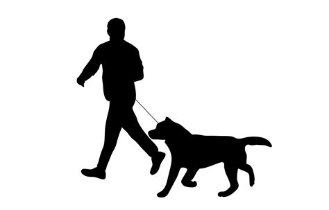 Dog Walking Silhouette Vector Art, Icons, and Graphics for Free Download