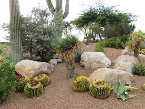 DIY xeriscape landscape design – Arizona Desert Xeriscape