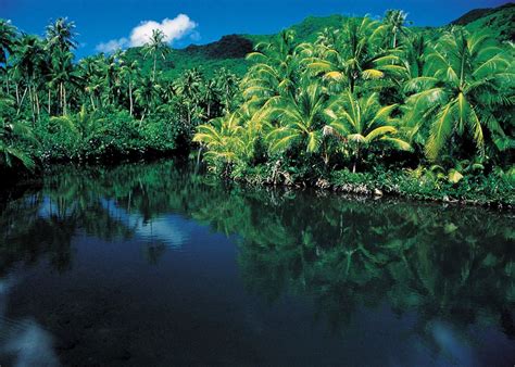 Visit Raiatea on a trip to French Polynesia | Audley Travel