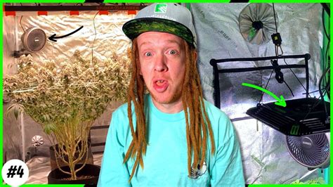 🥦7 Essential Grow Tent Setup Tips - YouTube