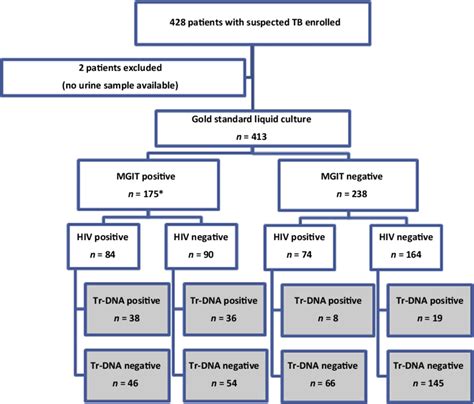 Flow diagram showing tuberculosis (TB) diagnosis based on the urine ...