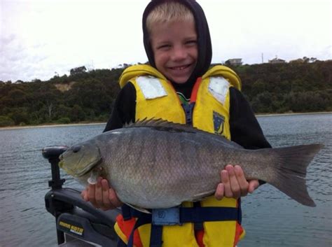 Thomas's terrific luderick! - Fishing World Australia