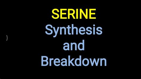 Serine - Synthesis and Breakdown - YouTube