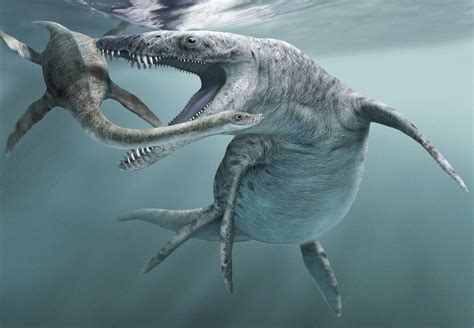 Hunt For Dinos on England's Jurassic Coast | DiscoverMagazine.com in ...