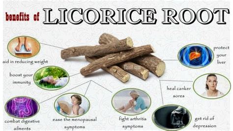 Top 10 Healthy Benefits Of Licorice Root | Licorice root, Licorice ...