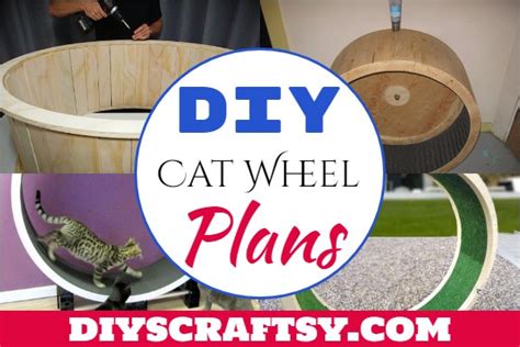 20 Best DIY Cat Wheel Plans For Felines Excercise - DIYsCraftsy