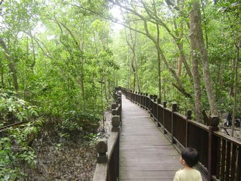 Pulau Kukup National Park (Johor Bahru) - 2020 All You Need to Know ...