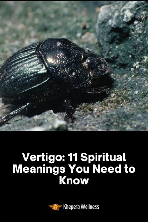 9 Scarab Beetle Spiritual Meanings & Symbolism (Hidden)