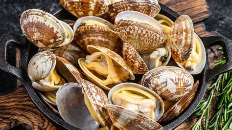 What's The Difference Between Mussels And Clams?