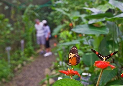 Panama Rainforest Activities | Gamboa Rainforest Reserve | Gamboa, Panama