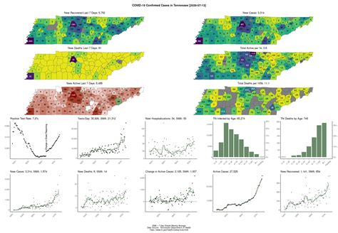 TN COVID-19 Infographic, July 13 : r/nashville