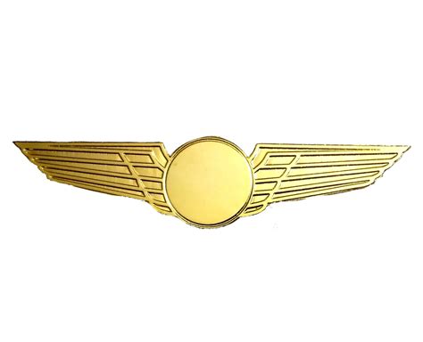 Pilot Wings-Gold plated brass wings without logo for aviation professionals