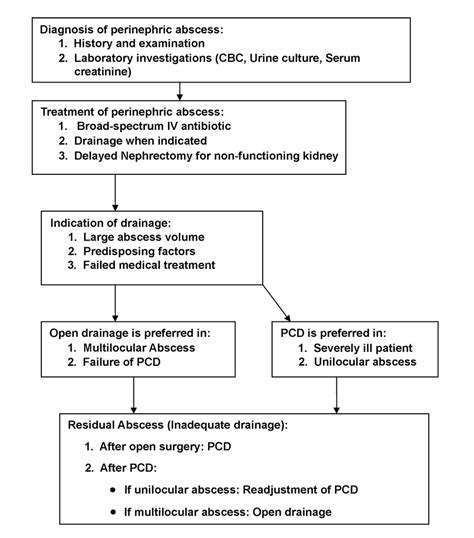 Algorithm for management of perinephric abscess. PCD = percutaneous ...