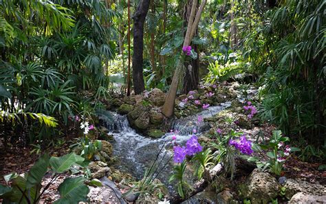 Fairchild Tropical Botanic Garden | Greater Miami & Miami Beach