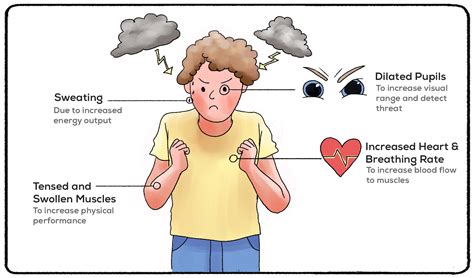 Phobias and Fear (50 Common Phobias List) - Practical Psychology