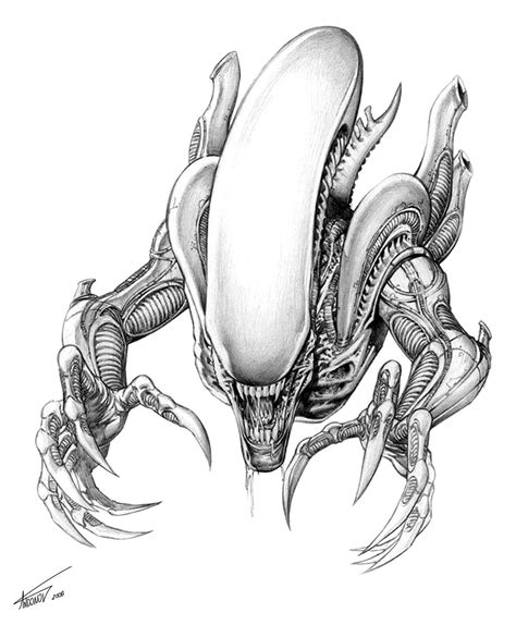 How To Draw An Alien From Alien Vs Predator Avp Step By Step Drawing ...