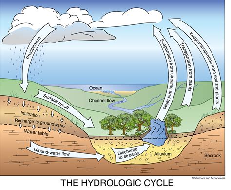 [DIAGRAM] Explanation Of Water Cycle With The Diagram - MYDIAGRAM.ONLINE