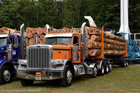 Peterbilt custom 379 loaded with logs | Peterbilt trucks, Heavy duty ...