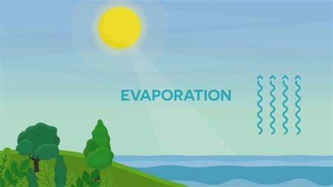 Evaporation Water Cycle Definition