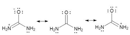 Making reference to resonance structures, hybridization, and the ...