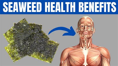 SEAWEED BENEFITS - 15 Amazing Health Benefits Of Seaweed You Should Know!