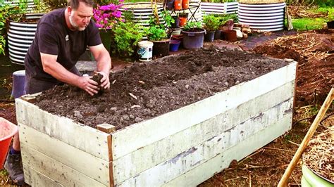 How to Fill Raised Vegetable Garden Beds and SAVE Money - Gardening ...