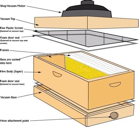 Bee vacuum plans | Bee keeping, Bee hive, Honey bee hives