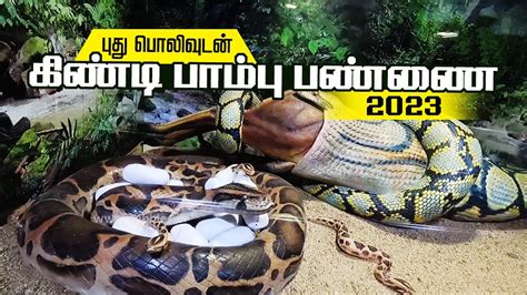 Chennai Guindy Snake Park 2023 I கிண்டி பாம்பு பண்ணை I Guindy National ...