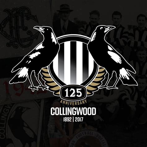 Pin by Steve Brown on Collingwood | Collingwood, Collingwood football ...