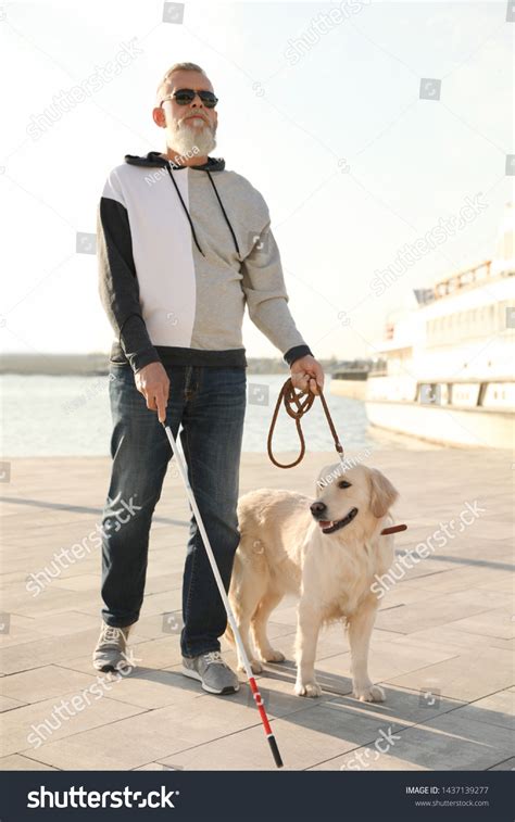 Guide Dog Helping Blind Person Long Stock Photo 1437139277 | Shutterstock