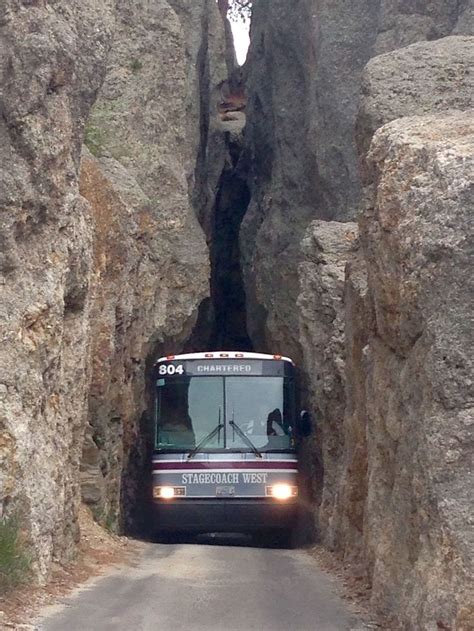 One inch clearance on each side...back road in Custer State Park ...