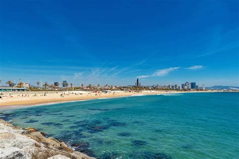 Spain Beaches Open - img-foxglove