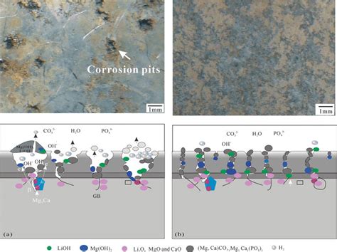 Corrosion Types of Magnesium Alloys | IntechOpen