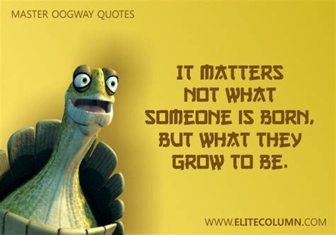 26 Master Oogway Quotes That Will Inspire You (2023) | EliteColumn