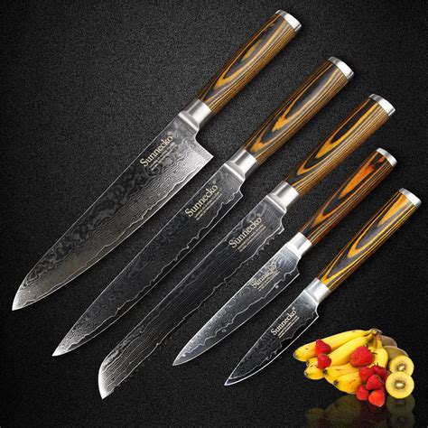 Sunnecko 5PCS Kitchen Knife Set 73 Layers Japaness Damascus VG10 Steel ...