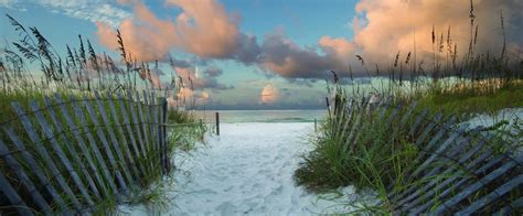 Henderson Beach State Park | Florida State Parks | Florida state parks ...