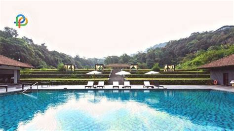 Getaway To The Hills: The Best Nature Resorts In Coorg!