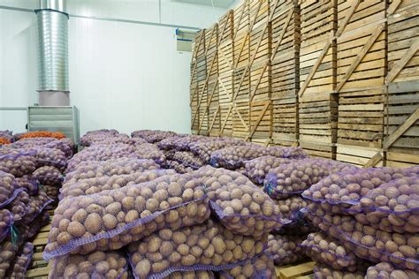 Companies with Storage facility for Potatoes