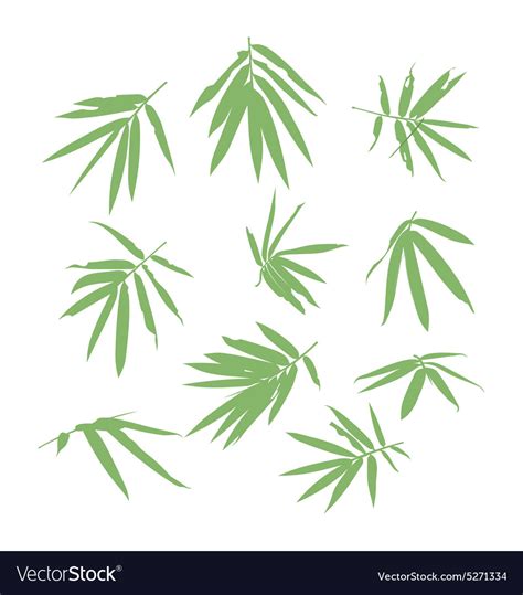 Bamboo leaf Royalty Free Vector Image - VectorStock