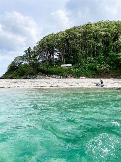 A Visit to Looe Island - The Cornish Life | Cornwall Lifestyle Blog