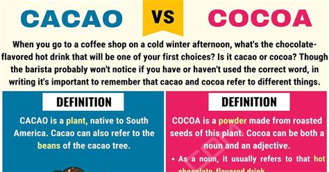 CACAO Vs COCOA: Basic Differences Between Cocoa Vs Cacao - 7 E S L